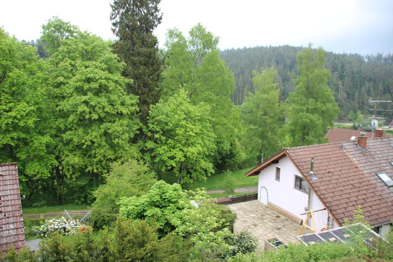 Kuckucksnester Friedenweiler Экстерьер фото