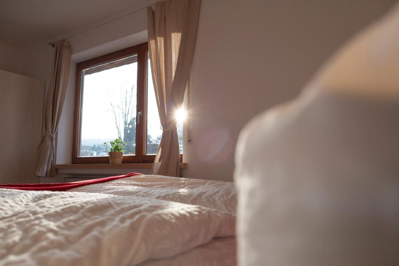 Kuckucksnester Friedenweiler Экстерьер фото